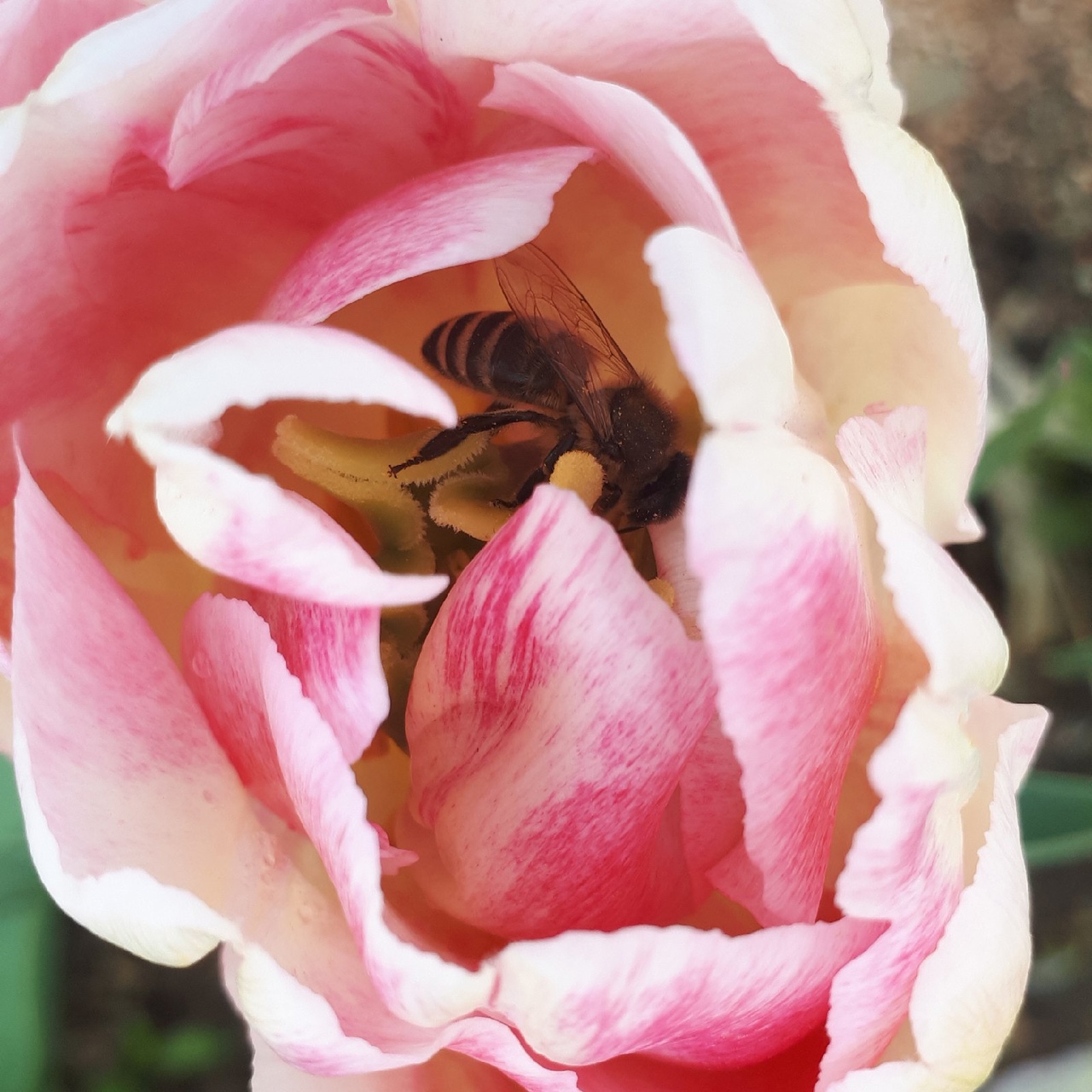 паломнический тур в крым в мае фото